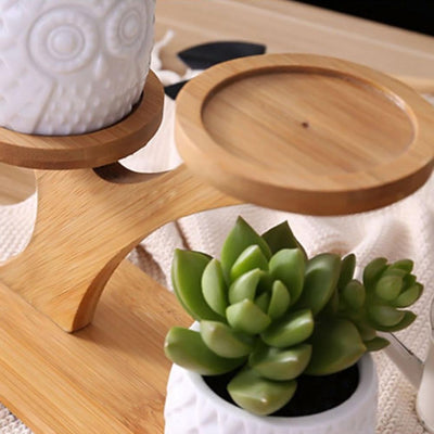 Zestaw ceramicznych doniczek z drewnianym podestem RoomDeco